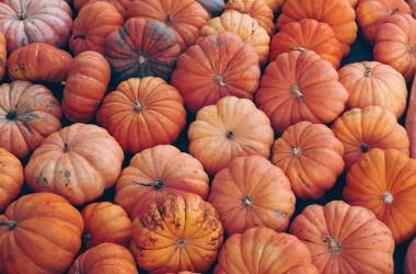 Exciting Things to Do in Apeldoorn this October