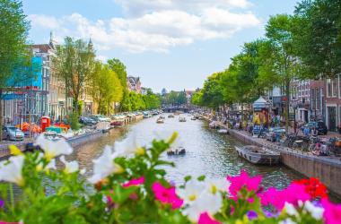 Netherlands Sees Slowest Growth in International Student Numbers in Almost a Decade