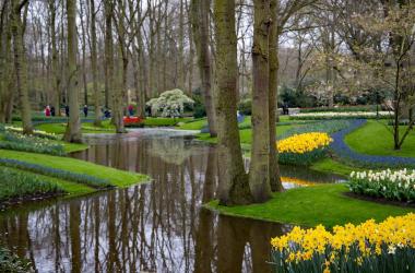Spring into Action: Top Things to Do in Amsterdam This March