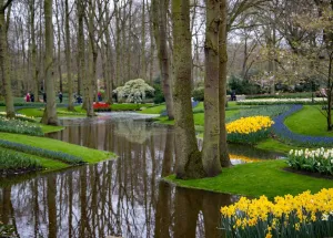 Spring into Action: Top Things to Do in Amsterdam This March  